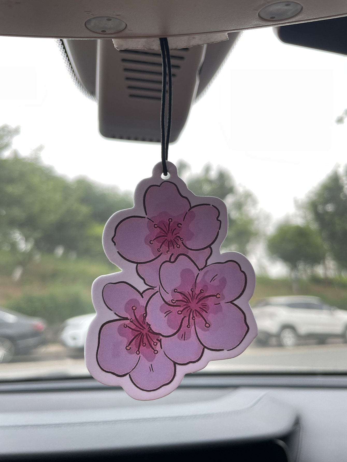 Sakura/Freesia Fresh Scent Fiv - Home Fragrance Best 评论和价格