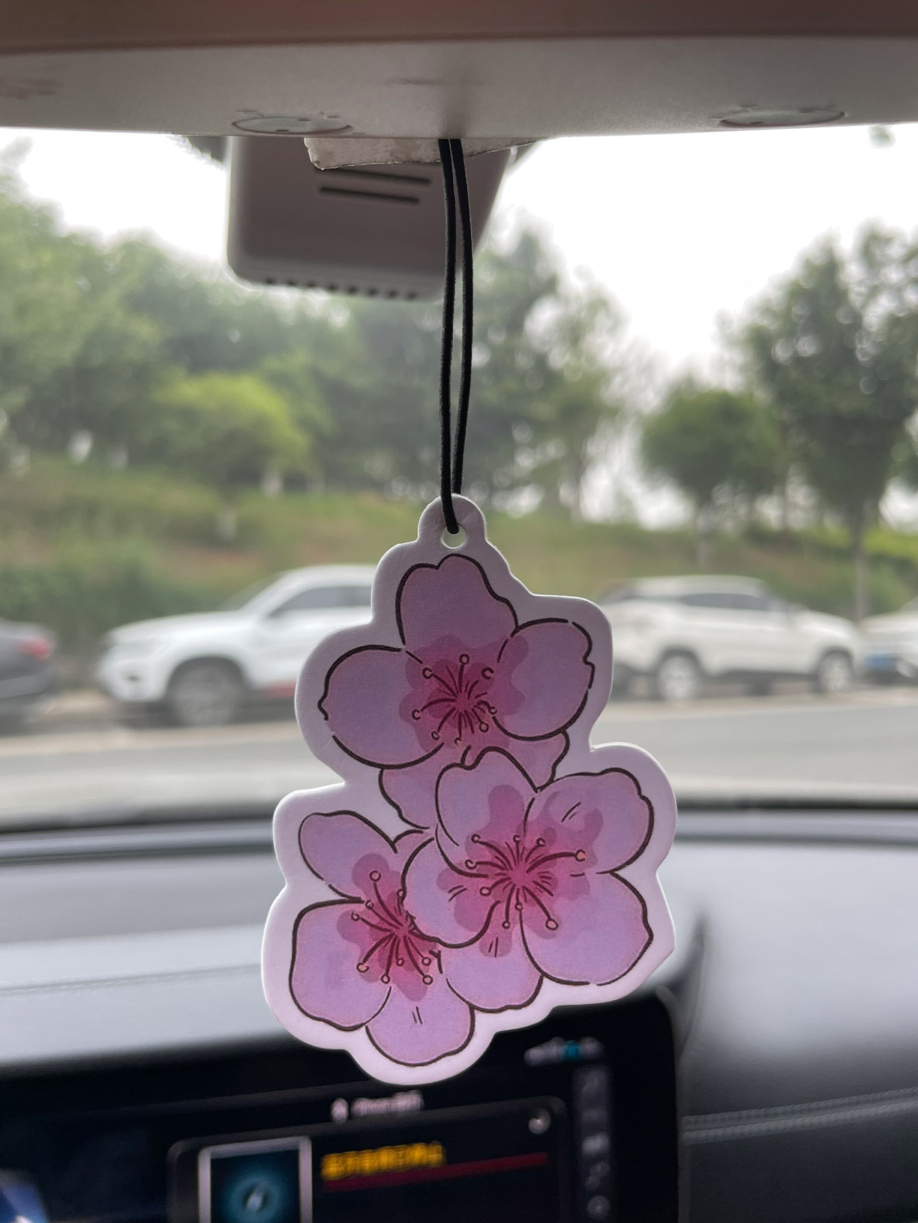 Sakura/Freesia Fresh Scent Fiv - Home Fragrance Best 评论和价格